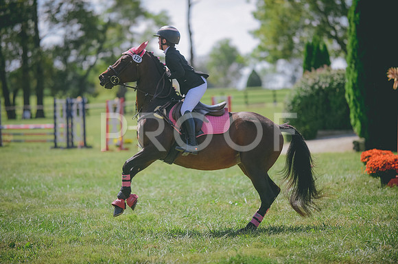 JJS_0938
