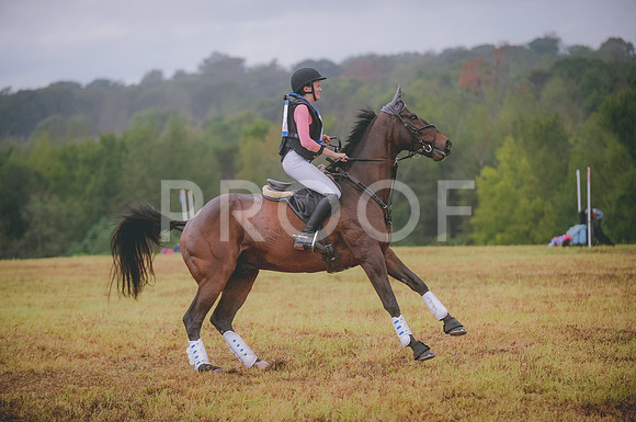 JJS_3765