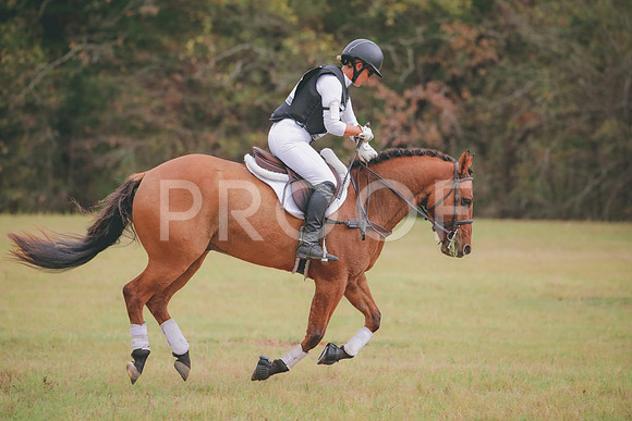 RWP_3676