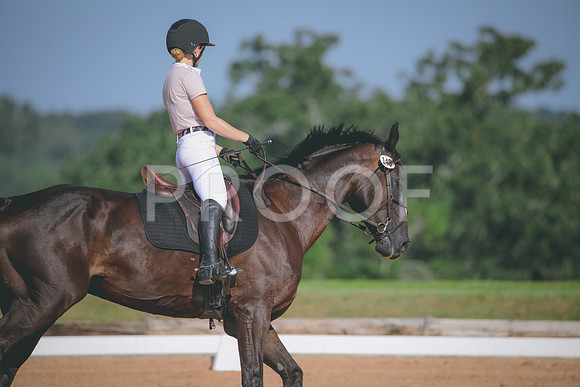 RWP_4623