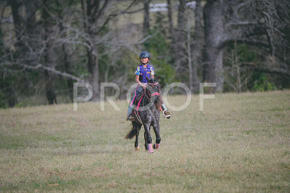 JJS_0637