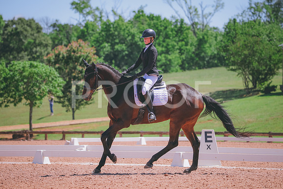 RWP_0293