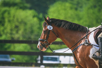 DSC_0195