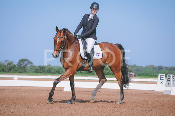 RWP_3931