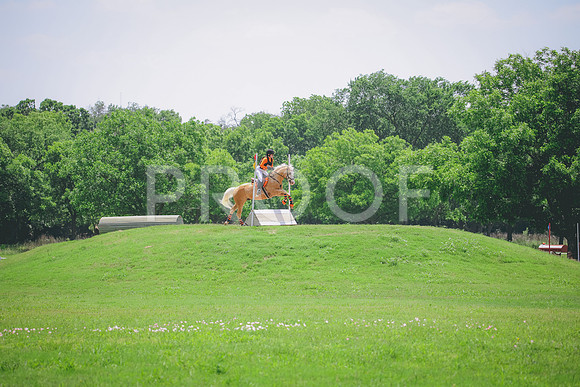 RWP_3911