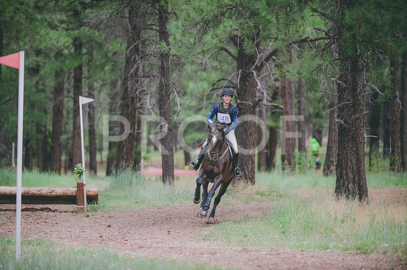 JJS_2798