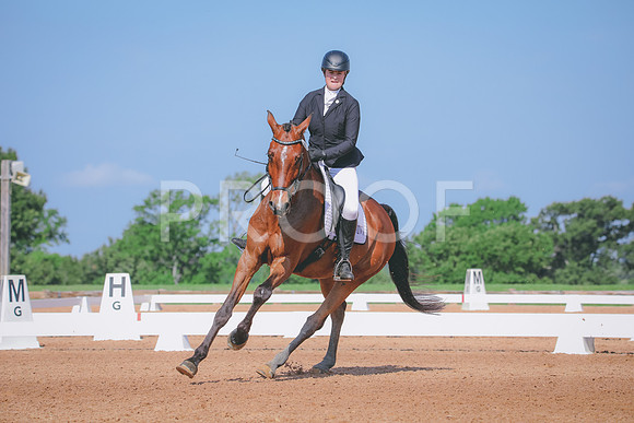 RWP_3939