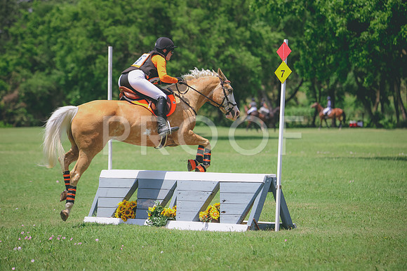 RWP_3927