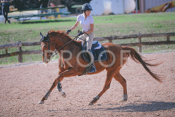 JJS_8869
