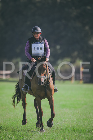 RWP_6333