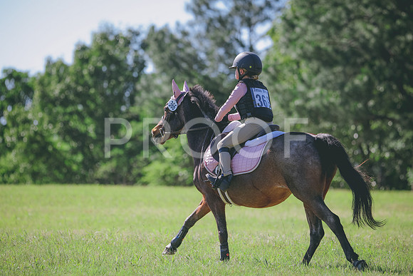 RWP_1371
