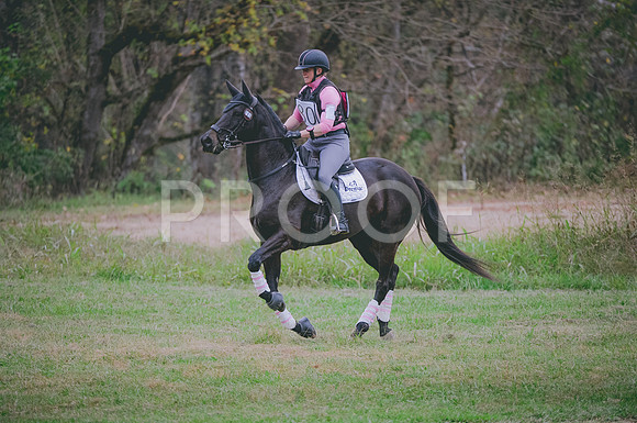 JJS_1475