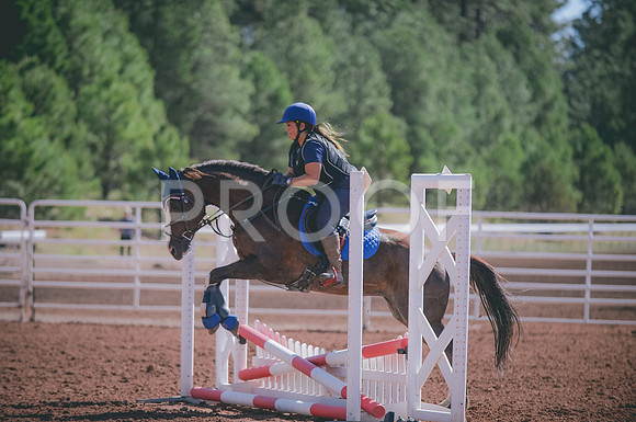 JJS_4846