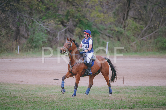 JJS_2189