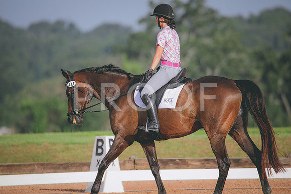 RWP_4351