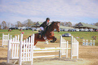 3T5A1981