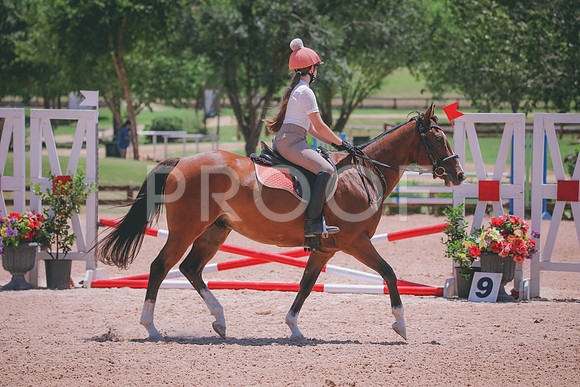 RWP_5813