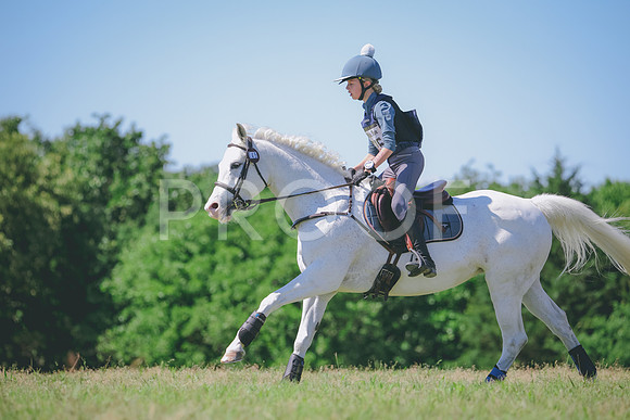 RWP_1241
