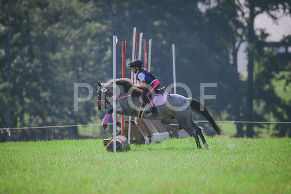 RWP_6420