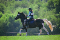 RWP_6381