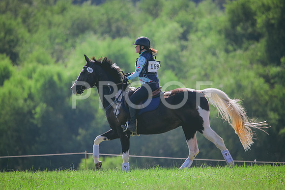 RWP_6381