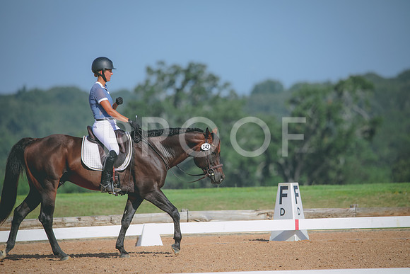 RWP_4619