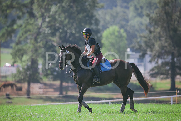 RWP_6437