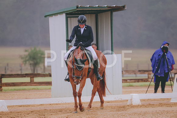 861A4891