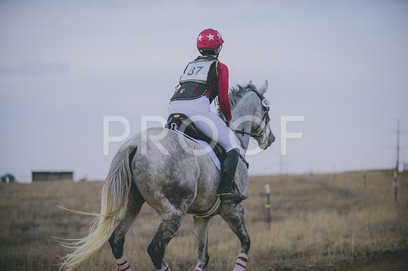 JJS_4856