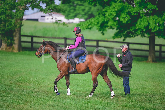 DSC_1505