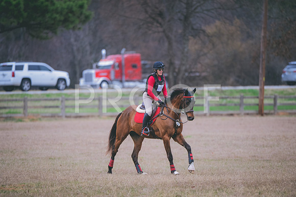 JJS_3476