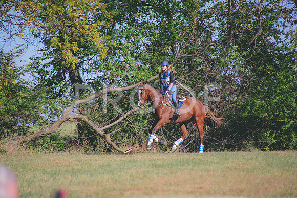 IMG_6120