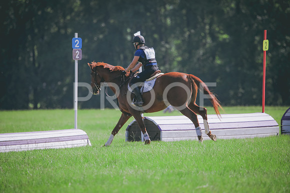 RWP_6484