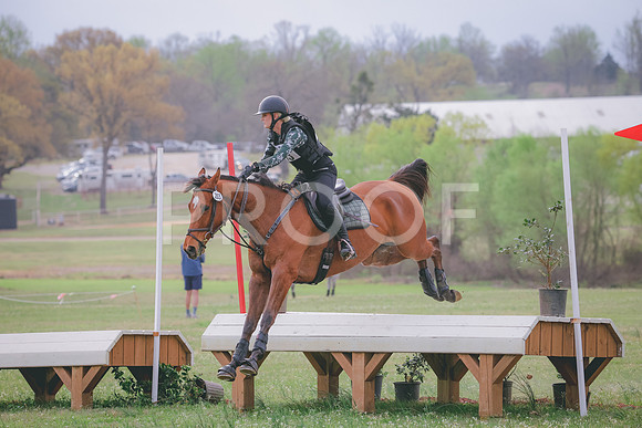 RWP_8527