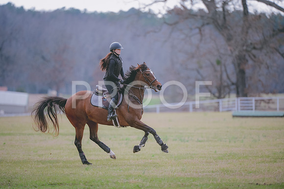 JJS_5218