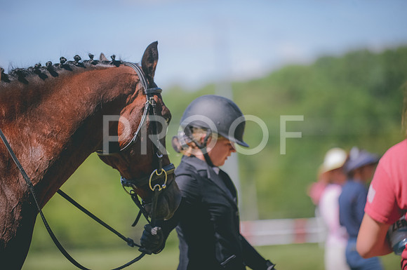JJS_0754