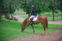 000_3564 copy