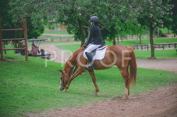 000_3564 copy