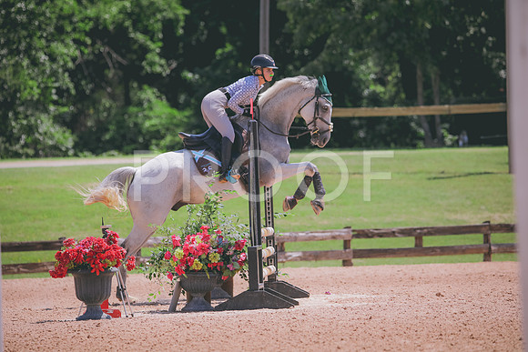 RWP_5441