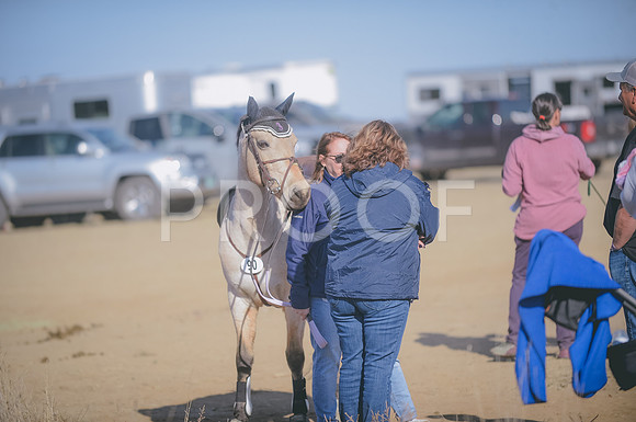 JJS_2162