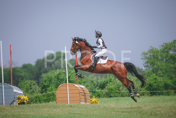 RWP_1582