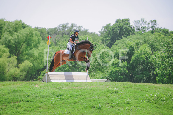 RWP_3951