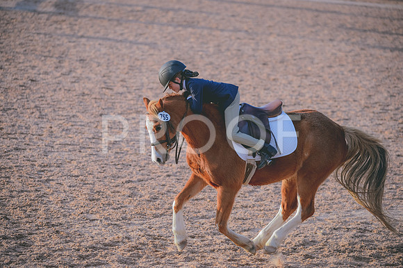 JJS_5196