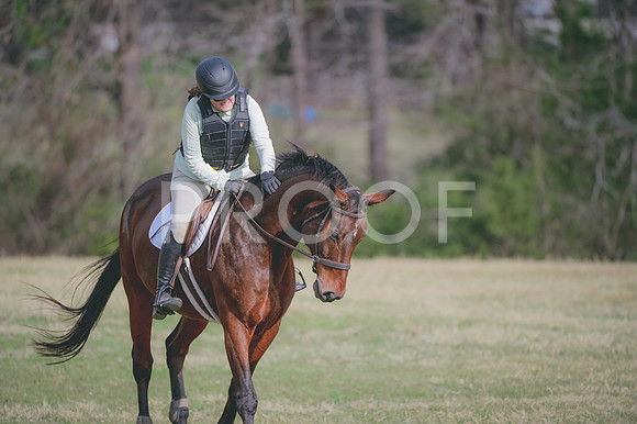JJS_0984