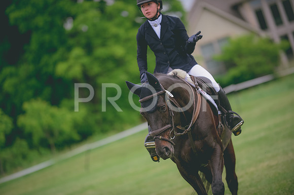 JJS_0442