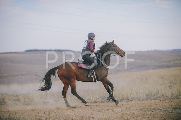 JJS_5378