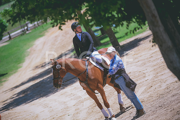 _DSC4501