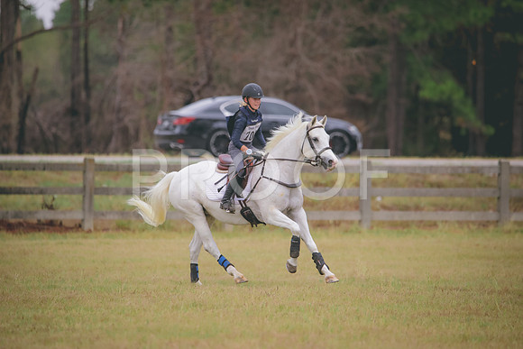 RWP_3723