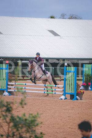 0N0A8004