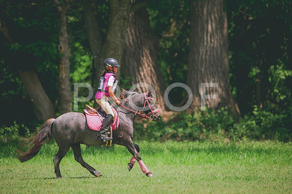 RWP_4329